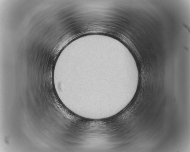 X0000102390842200808291421