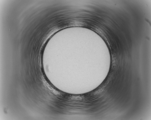 X0000102390843200808291422