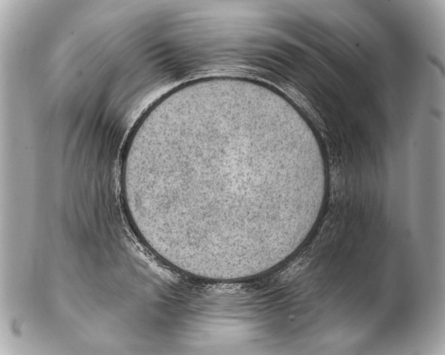 X0000102390846200808291422