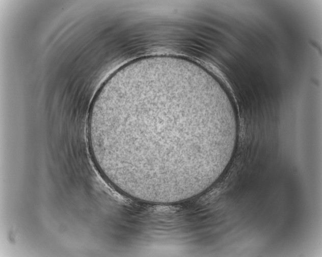 X0000102390847200808291422