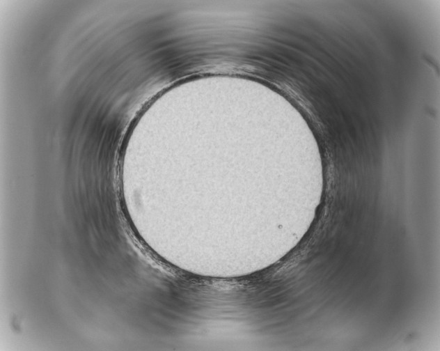 X0000102390848200808291422