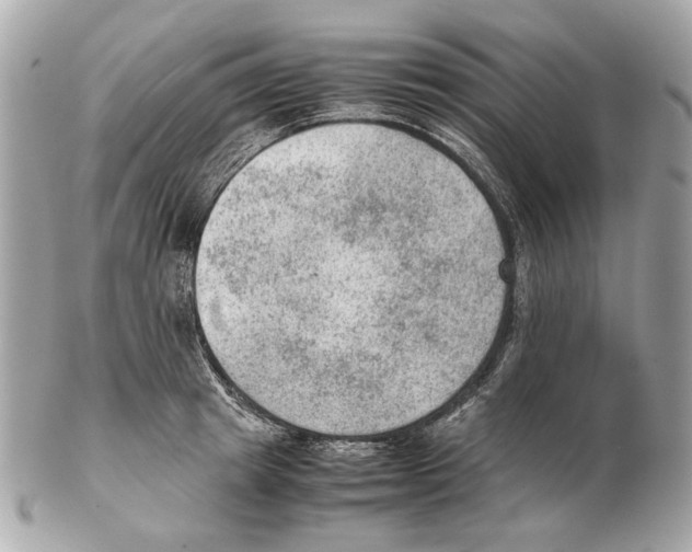 X0000102390849200808291422