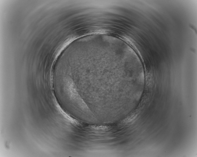 X0000102390851200808291422