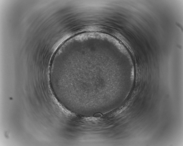 X0000102390853200808291422