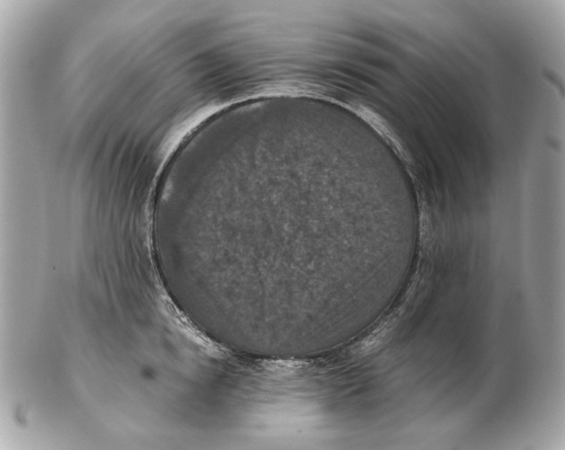 X0000102390854200808291422