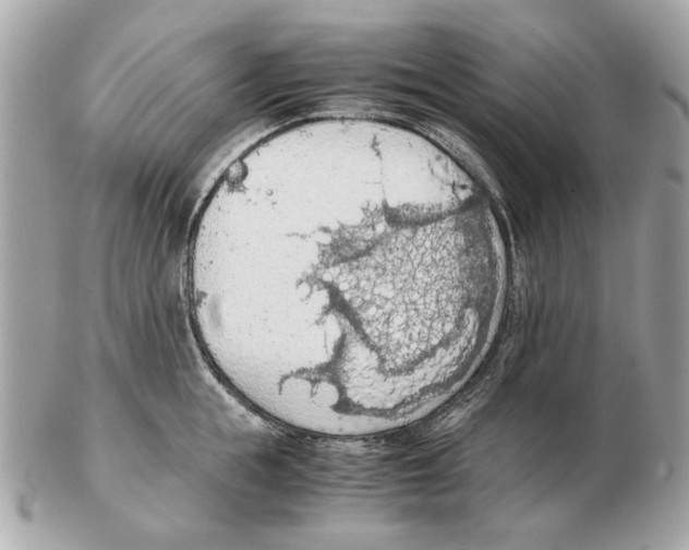 X0000102390855200808291422