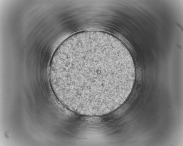 X0000102390856200808291422