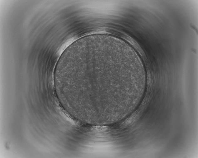 X0000102390858200808291422