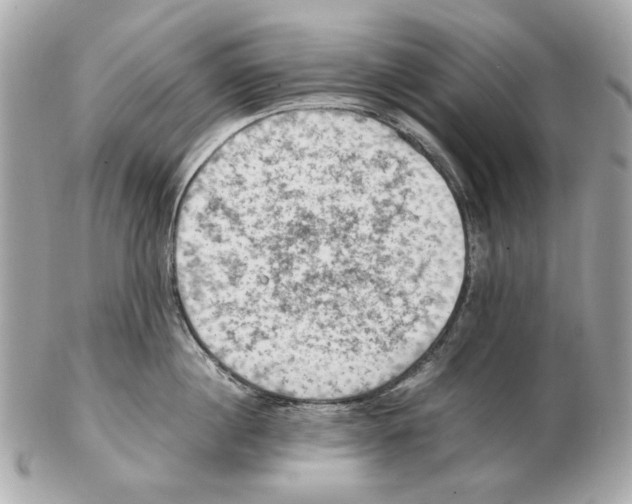 X0000102390860200808291422