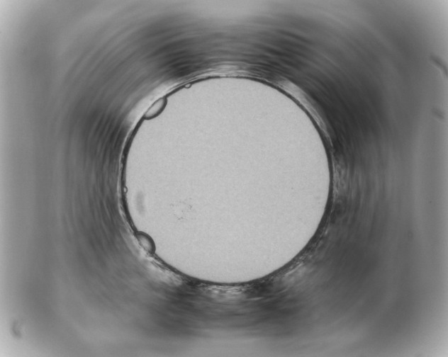 X0000102390861200808291422