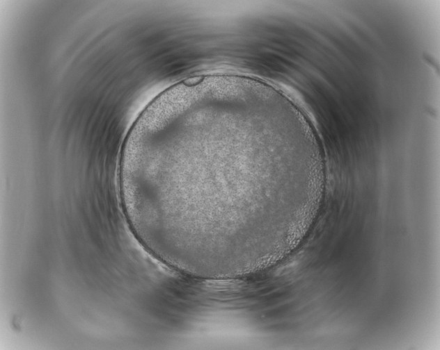 X0000102390863200808291422