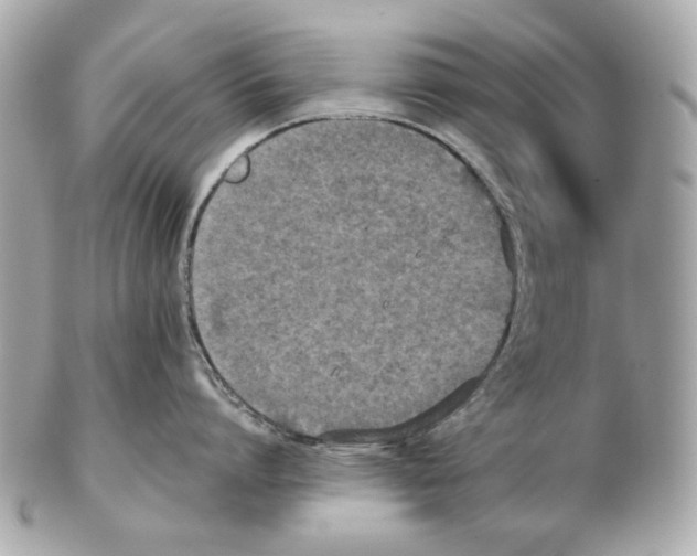 X0000102390864200808291422
