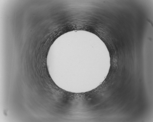X0000102390865200808291421