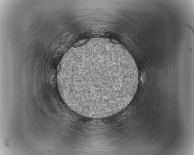 X0000102390867200808291421