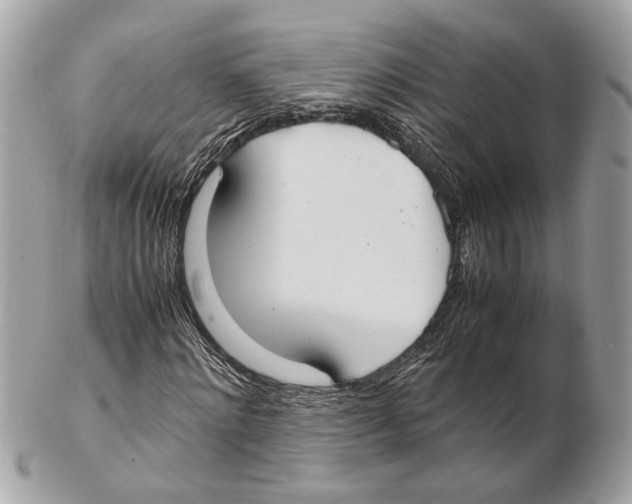 X0000102390868200808291421