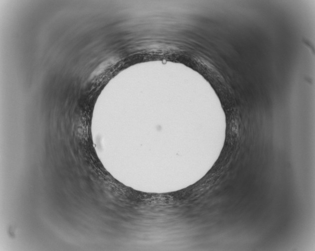 X0000102390869200808291421
