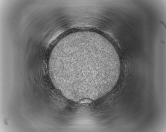 X0000102390871200808291421