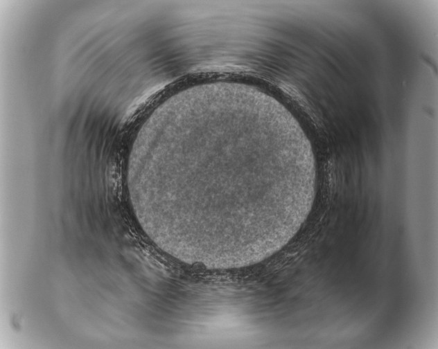 X0000102390872200808291421