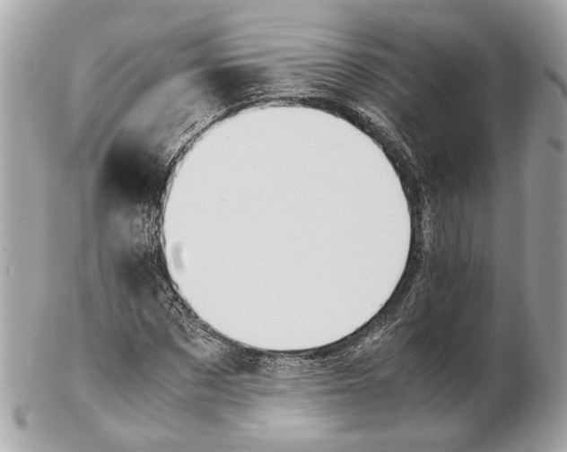 X0000102390873200808291421