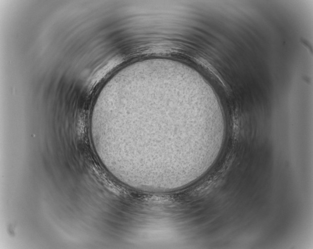 X0000102390874200808291421