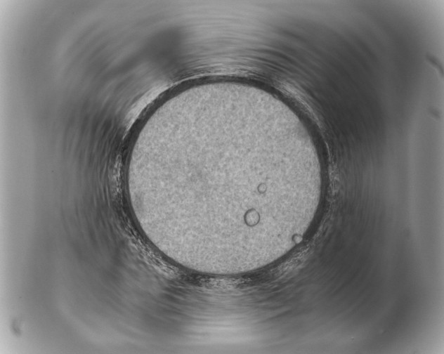 X0000102390875200808291421
