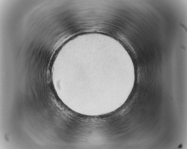 X0000102390876200808291421