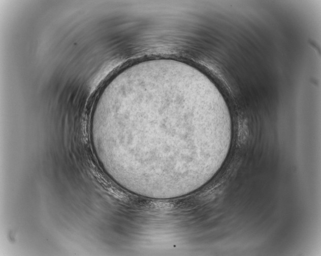 X0000102390878200808291421