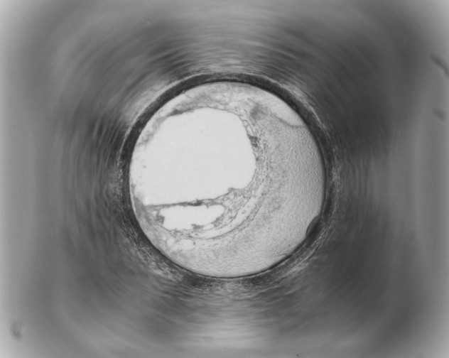 X0000102390879200808291421