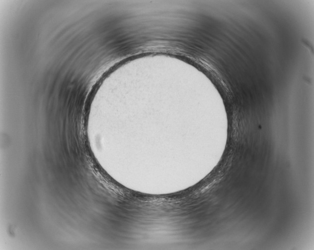 X0000102390880200808291421