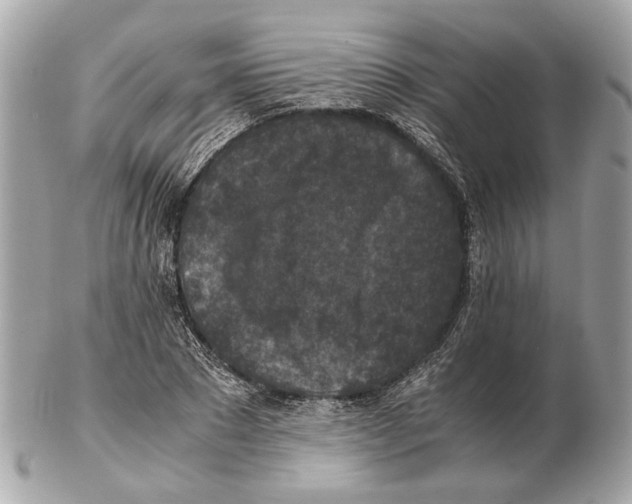 X0000102390881200808291421