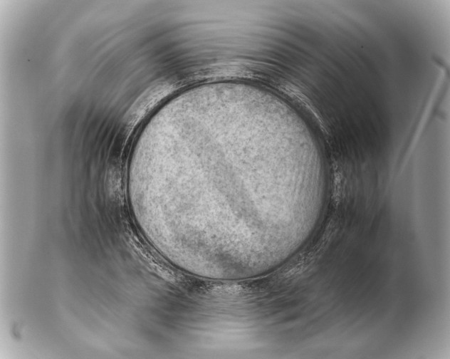 X0000102390882200808291421