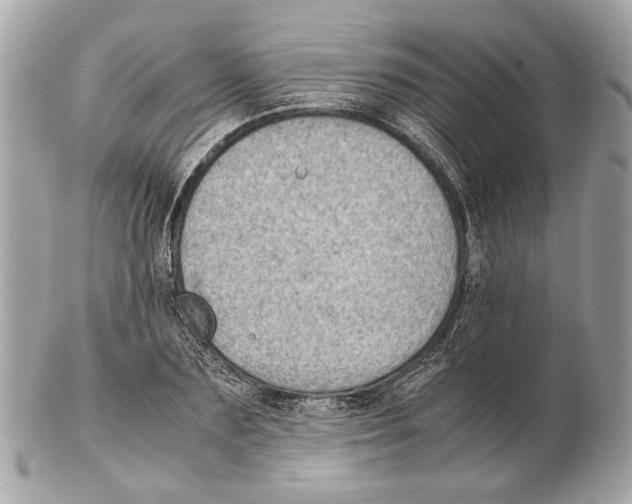 X0000102390883200808291421