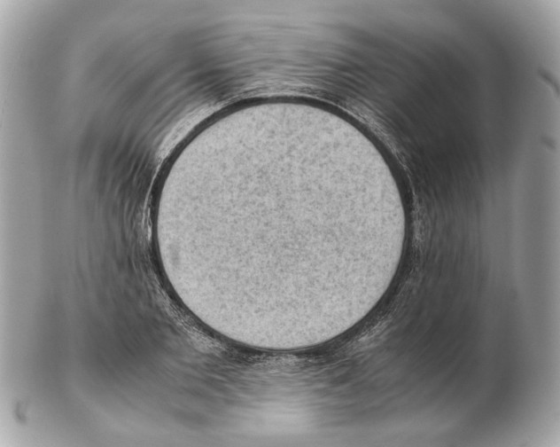X0000102390885200808291421