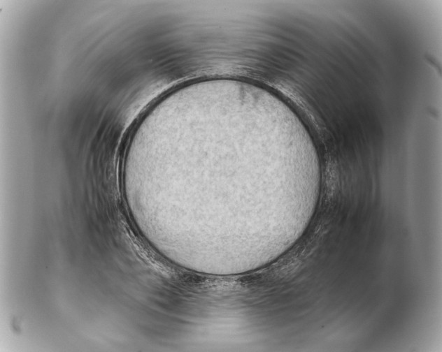 X0000102390886200808291421