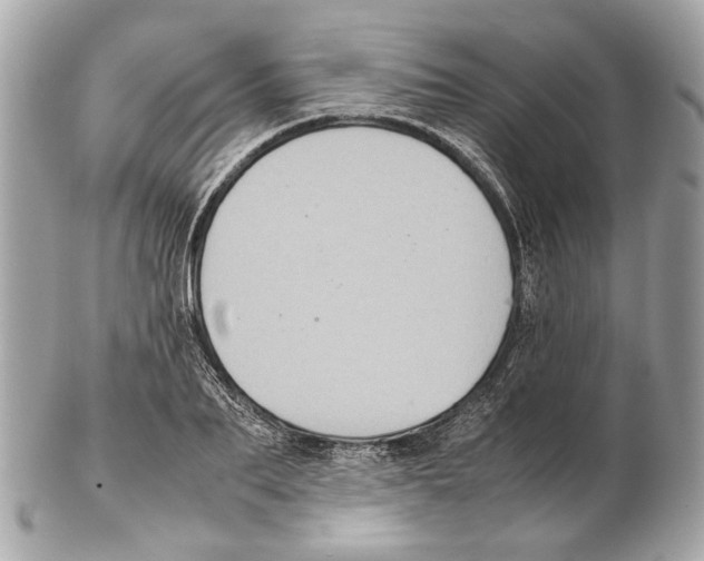 X0000102390887200808291421