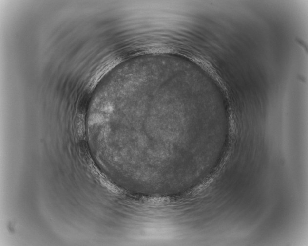 X0000102390889200808291421