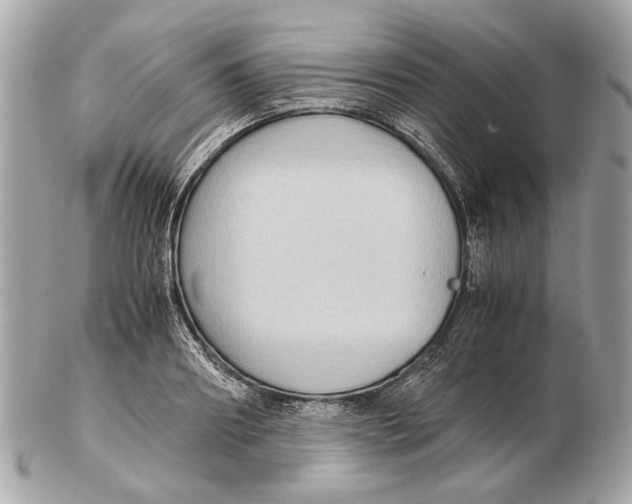 X0000102390890200808291421