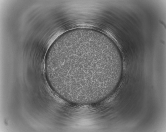 X0000102390891200808291421