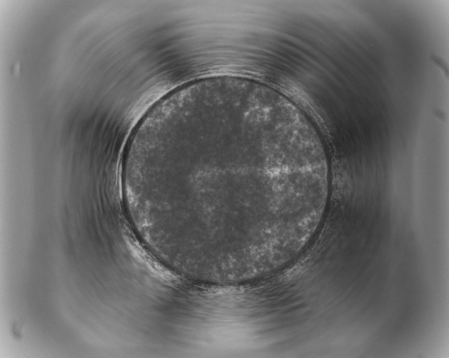 X0000102390892200808291421