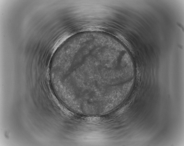 X0000102390893200808291421