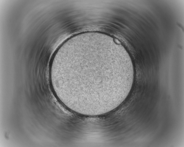 X0000102390894200808291421