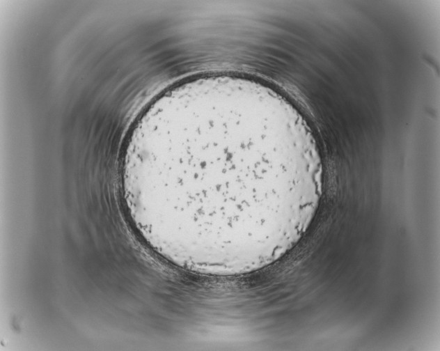 X0000102390895200808291421
