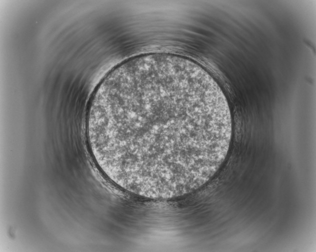 X0000102390896200808291421
