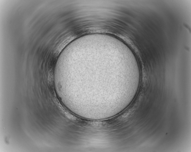 X0000102390897200808291421