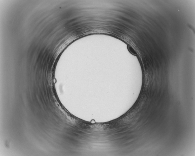 X0000102390898200808291421