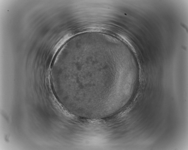 X0000102390899200808291420