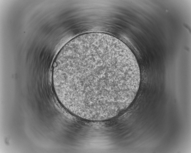 X0000102390900200808291420