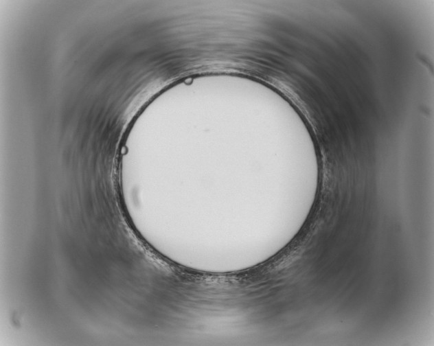 X0000102390901200808291420
