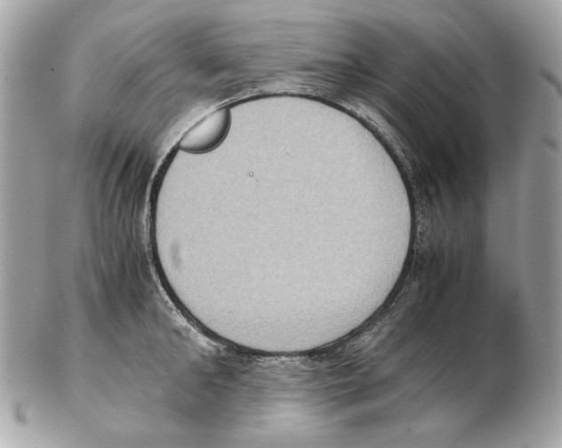 X0000102390902200808291420
