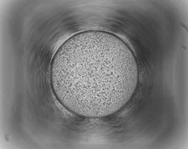 X0000102390903200808291420